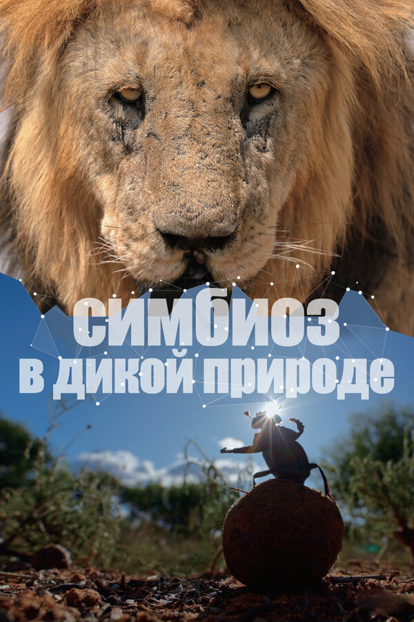 Порно ертегілер (1980-1999)