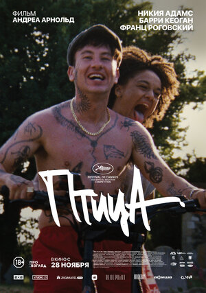 Постер: (Птица, 2024 - вся информация о фильме на FilmNavi.ru