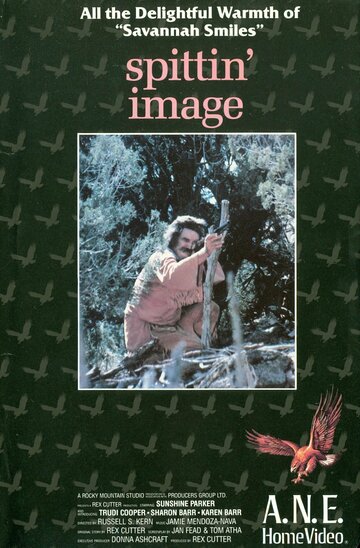  (1982)