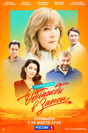 Постер: (Однажды в Залесье, 2024 - вся информация о сериале на FilmNavi.ru