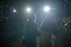 Лицо кадр 21 онлайн-кинотеатр Эмбликс