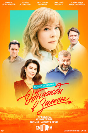 Постер: (Однажды в Залесье, 2024 - вся информация о сериале на FilmNavi.ru