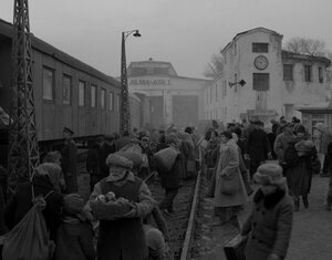 Эвакуация кадр 5 онлайн-кинотеатр Эмбликс