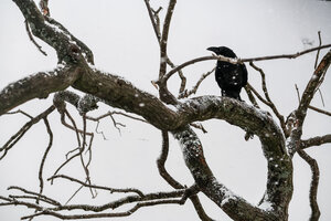 Сущность кадр 2 онлайн-кинотеатр Эмбликс