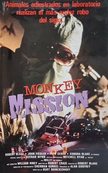  (1981)