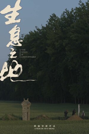 Постер: (Жить на земле, 2025 - вся информация о фильме на FilmNavi.ru