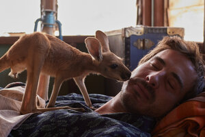 Лиа и кенгуру кадр 12 онлайн-кинотеатр Эмбликс