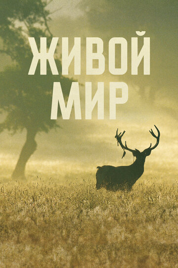 Живой мир (2023)