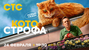 Постер: (Котострофа, 2023 - вся информация о сериале на FilmNavi.ru