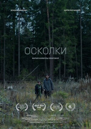 Постер: (Осколки, 2023 - вся информация о фильме на FilmNavi.ru