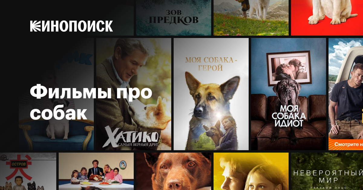 Фильмы про собак — Кинопоиск