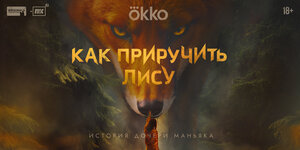 Постер: (Как приручить лису, 2025 - вся информация о сериале на FilmNavi.ru
