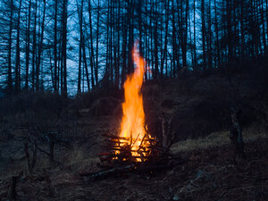 Ни один, ни два кадр 2 онлайн-кинотеатр Эмбликс