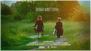 Постер: (Сколько живут голуби, 2023 - вся информация о фильме на FilmNavi.ru