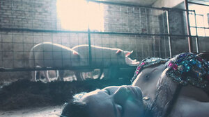 След. Новые легавые кадр 24 на Эмбликс в Hd