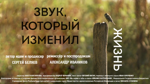 Постер: (Звук, который изменил жизнь, 2025 - вся информация о фильме на FilmNavi.ru