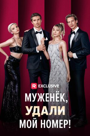 Постер: (Муженёк, удали мой номер!, 2024 - вся информация о фильме на FilmNavi.ru