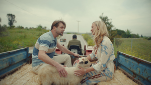 Тысяча роз кадр 4 на Эмбликс в Hd