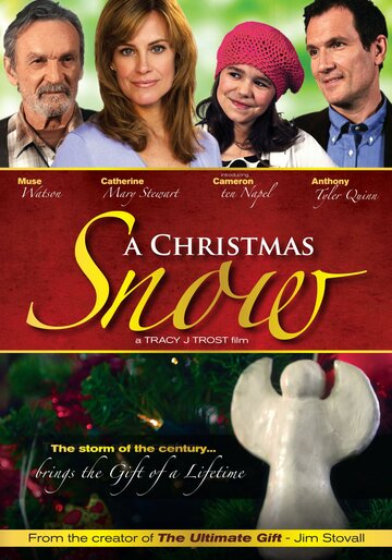 Рождественский снег (2009)