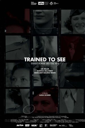 Постер: (Drei Frauen und der Krieg, 2022 - вся информация о фильме на FilmNavi.ru