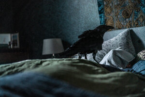 Сущность кадр 11 онлайн-кинотеатр Эмбликс