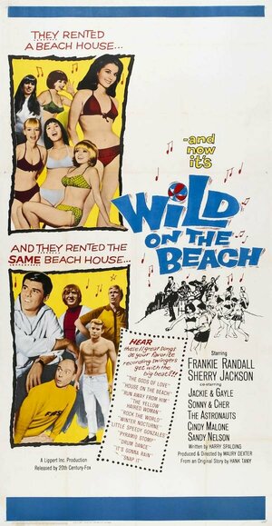 Постер: (Wild on the Beach, 1965 - вся информация о фильме на FilmNavi.ru