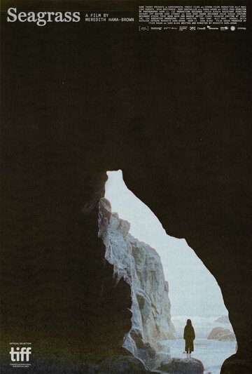  (2023)