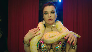 След. Новые легавые кадр 4 на Эмбликс в Hd