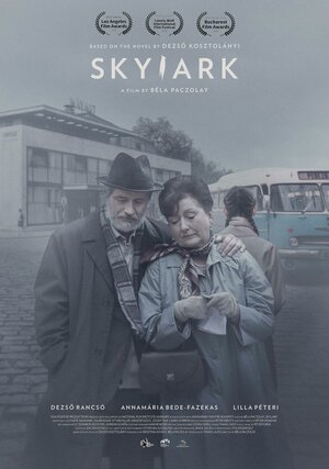 Постер: (Жаворонок, 2022 - вся информация о фильме на FilmNavi.ru