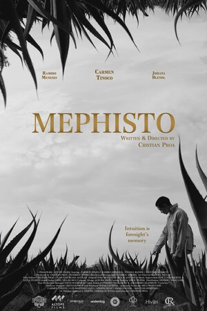 Постер: (Mephisto, 2022 - вся информация о фильме на FilmNavi.ru
