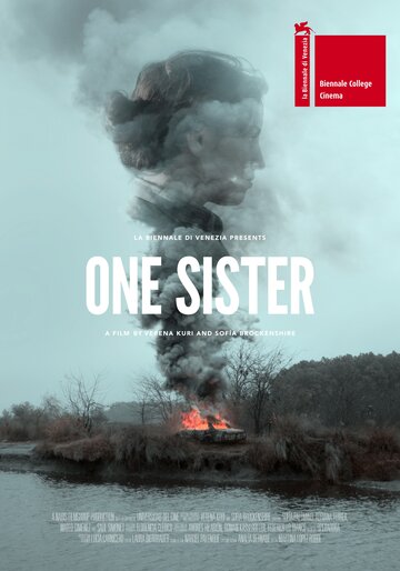  (2016)