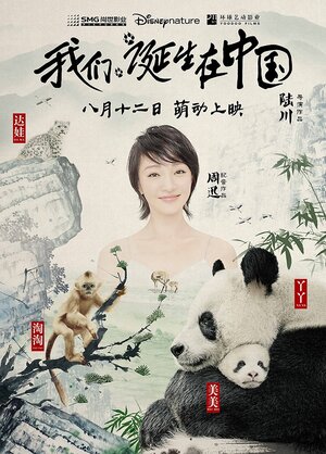 Постер: (Рождённые в Китае, 2016 - вся информация о фильме на FilmNavi.ru