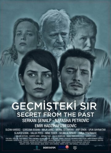  (2017)