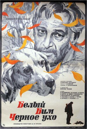 Постер: (Белый Бим Черное ухо, 1976 - вся информация о фильме на FilmNavi.ru