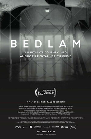 Постер: (Bedlam, 2019 - вся информация о фильме на FilmNavi.ru
