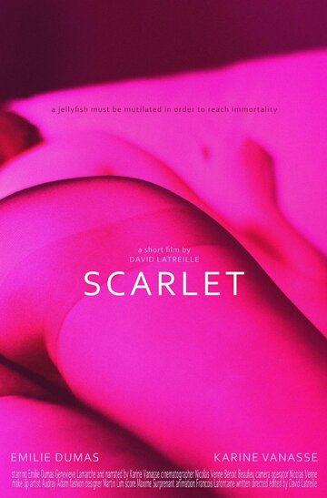 Скарлет (2013)