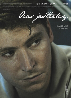 Постер: (Ocas jesterky, 2009 - вся информация о фильме на FilmNavi.ru