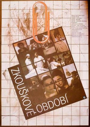 Постер: (Zkouskové období, 1991 - вся информация о фильме на FilmNavi.ru