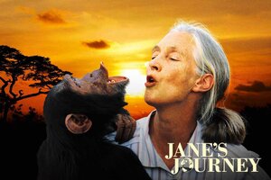 Постер: (Путешествие Джейн, 2010 - вся информация о фильме на FilmNavi.ru