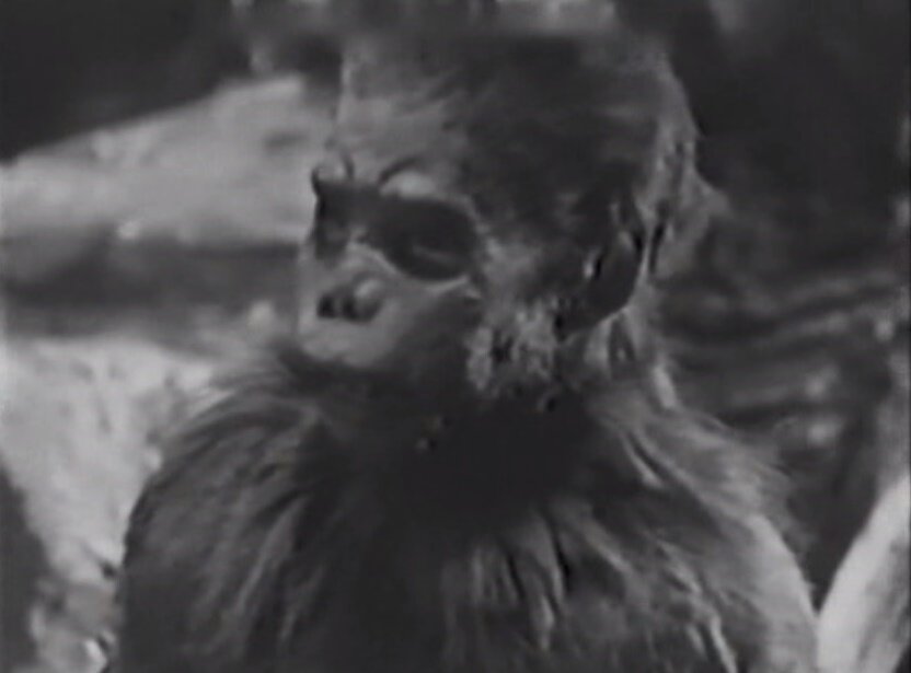 Legendary Bigfoot Footage AI Stabilized, Clearly Showing What It Is