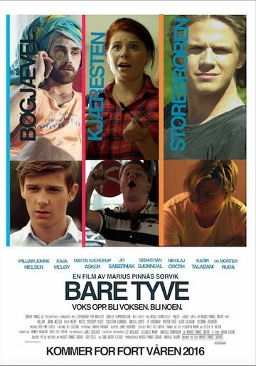 (2016)