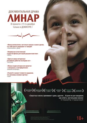 Постер: (Линар, 2013 - вся информация о фильме на FilmNavi.ru