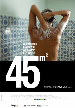 Постер: (45m2, 2010 - вся информация о фильме на FilmNavi.ru