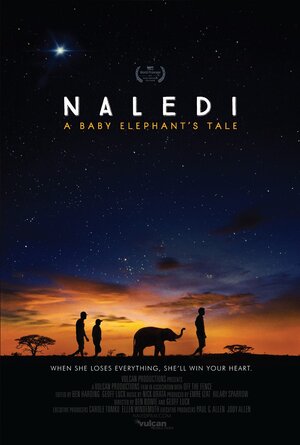 Постер: (Naledi: A Baby Elephant's Tale, 2016 - вся информация о фильме на FilmNavi.ru