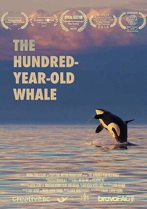 Постер: (The Hundred Year Old Whale, 2017 - вся информация о фильме на FilmNavi.ru