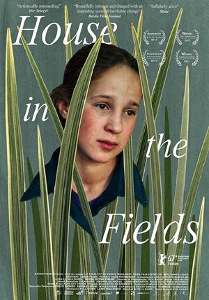 Постер: (Дом в полях, 2017 - вся информация о фильме на FilmNavi.ru