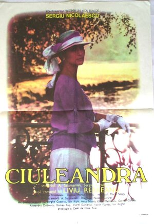 Постер: (Чуляндра, 1984 - вся информация о фильме на FilmNavi.ru