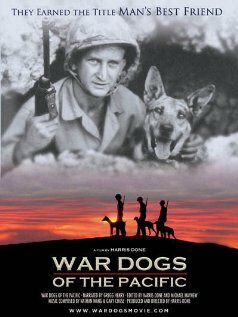 is war dogs true story