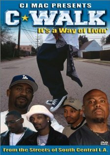  (2003)