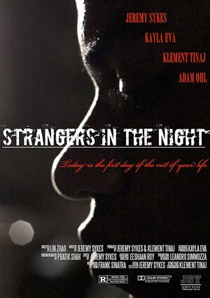 Постер: (Strangers in the Night, 2016 - вся информация о фильме на FilmNavi.ru